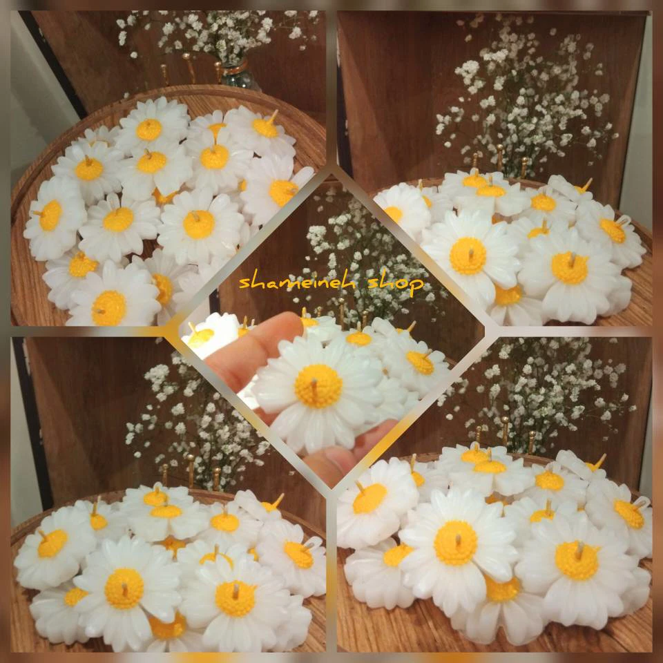 شمع گل بابونه
